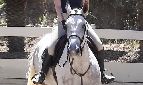Iggy Azalea Goes Horseback Riding In Los Angeles jpeg