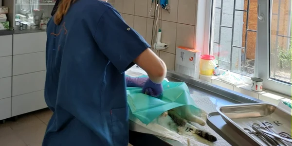 spital