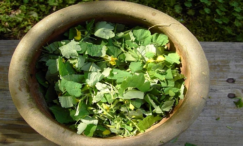 1 76556 original jpg jpeg