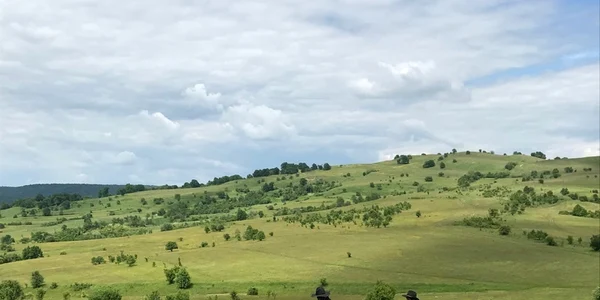  serialul de televiziune Django foto news ro