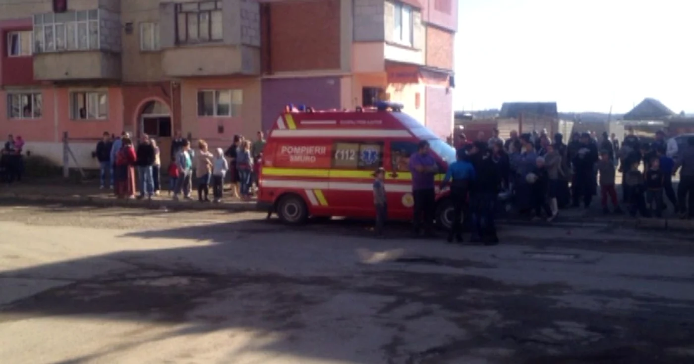 Accidentul a avut loc pe strada Păltinişului