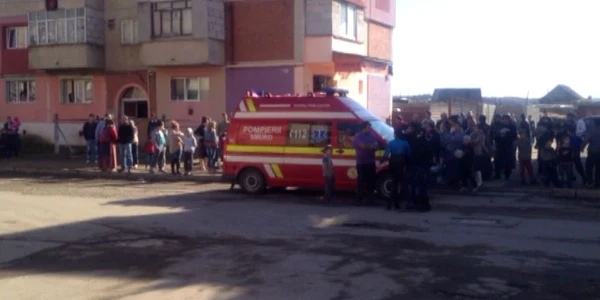 accident paltinisului