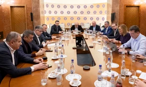 foto pnl negocieri guvern jpg