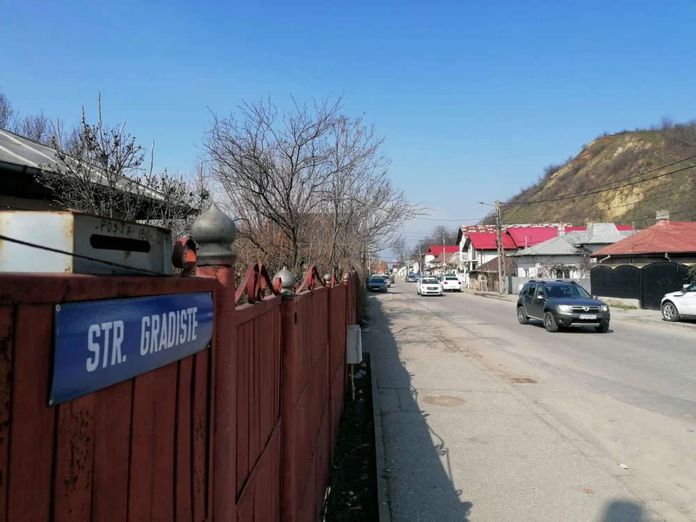 Atacul asupra animalelor domestice s-a produs într-o curte de pe strada Grădiște FOTO: Alina Mitran