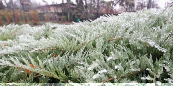 În noaptea de Revelion, va fulgui uşor în nordul ţării