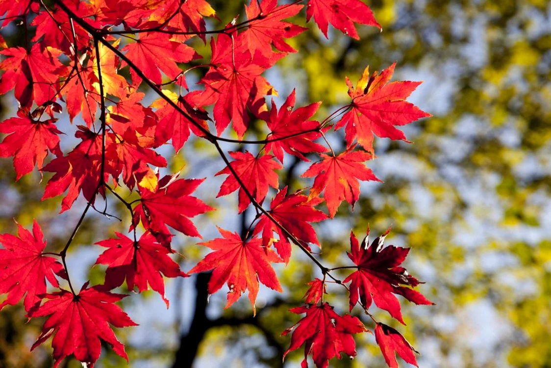 Vreme deosebit de caldă în septembrie FOTO Shutterstock