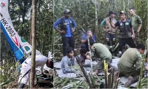 avion prabusit padure amazoniana jpg