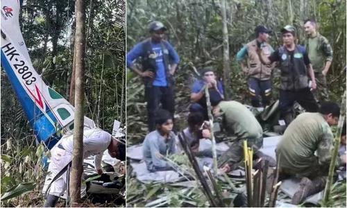 avion prabusit padure amazoniana jpg