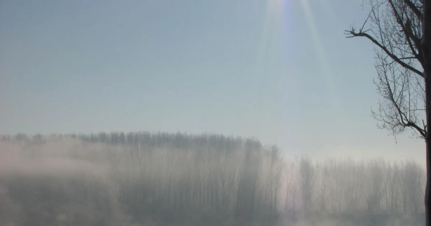 Ceaţa va fi nelipsită din peisaj Foto:Adevărul
