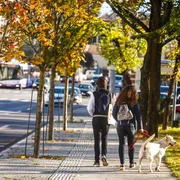 Orasul Cluj Napoca, toamna  Foto Primăria Cluj Napoca Facebook (7) jpg