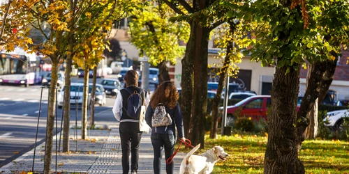 Orasul Cluj Napoca, toamna  Foto Primăria Cluj Napoca Facebook (7) jpg