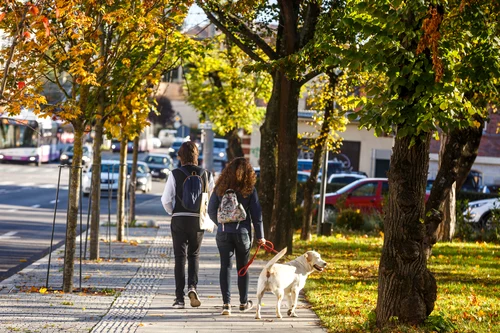 Orasul Cluj Napoca, toamna  Foto Primăria Cluj Napoca Facebook (7) jpg
