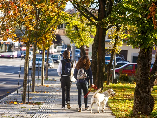 Orasul Cluj Napoca, toamna  Foto Primăria Cluj Napoca Facebook (7) jpg