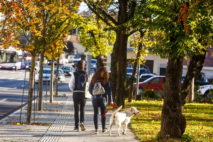 Vreme frumoasă de toamnă FOTO: Primăria Cluj/FB