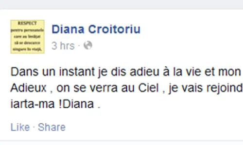 Mesajul postat pe pagina de Facebook a Dianei Croitoriu jpeg