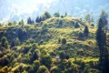 cetatea zanelor jpeg