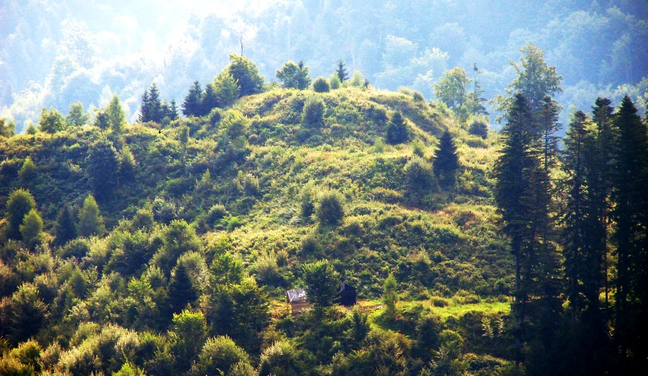 Cetatea Zânelor / foto: cetateazânelor.ro