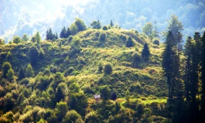 cetatea zanelor jpeg