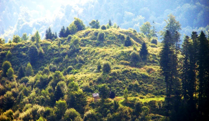 Cetatea Zânelor / foto: cetateazânelor.ro