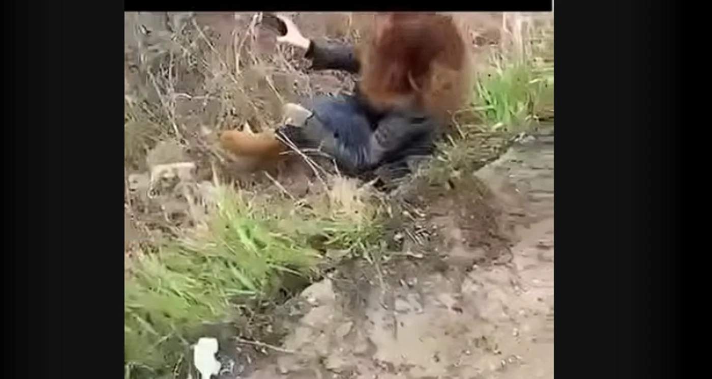 Femeia a sărit din mașină. Captură video YouTube Ziarul de Iași