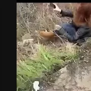 femeie uber a sarit din masina captura video Ziarul de Iasi png