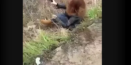 femeie uber a sarit din masina captura video Ziarul de Iasi png