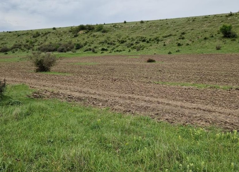 Arie naturală protejată, arată ilegal de primărie. Ce au constatat comisarii Gărzii de Mediu