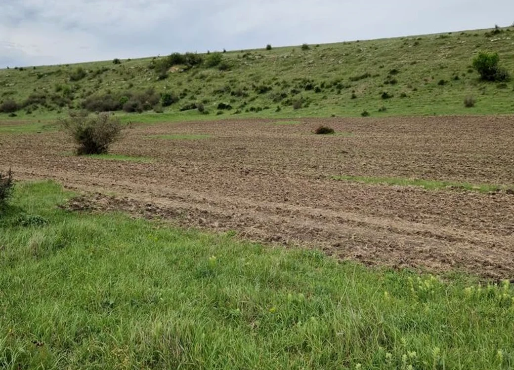 Rezervația naturală Pădurea Hagieni FOTO: Garda de Mediu Constanța