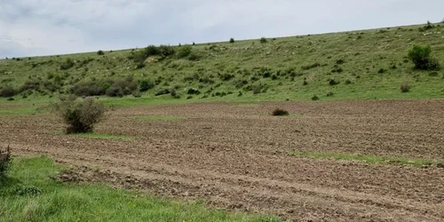 Arie naturala arata la Albesti FOTO Garda de Mediu jpeg