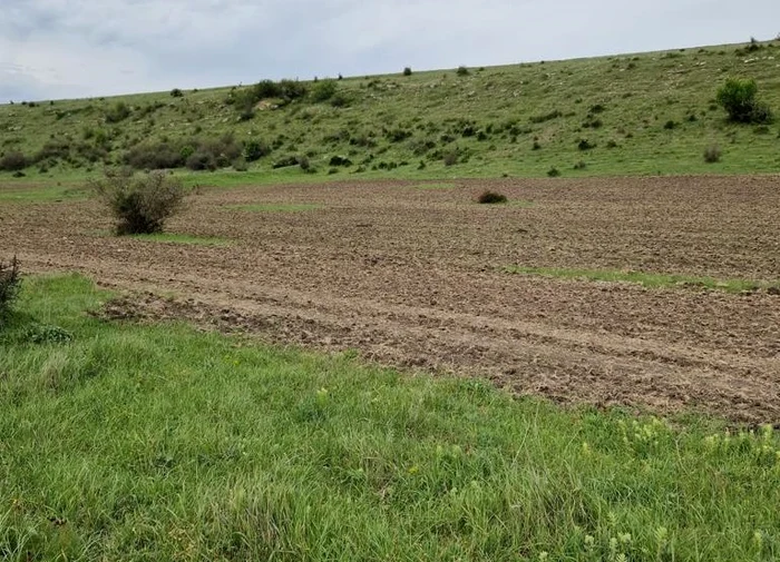 Rezervația naturală Pădurea Hagieni FOTO: Garda de Mediu Constanța