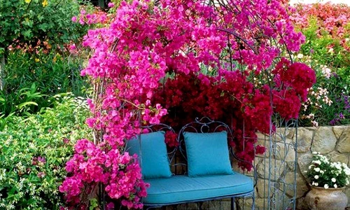 1 69963 original jpg jpeg