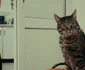 filmari documentar animale Alexandra Manda foto arhiva personala (1) png