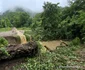 Inundatii pe Valea Zlastiului din Hunedoara Foto Daniel Guță ADEVĂRUL (3) jpg