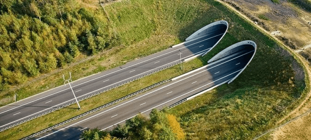 Licitația pentru „Autostrada Urșilor”, câștigată de firma UMB Spedition