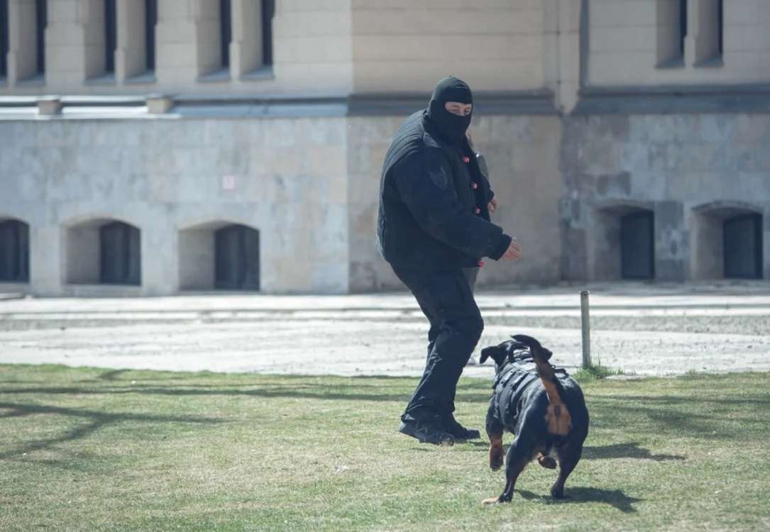 FOTO Arhiva IPJ Iaşi
