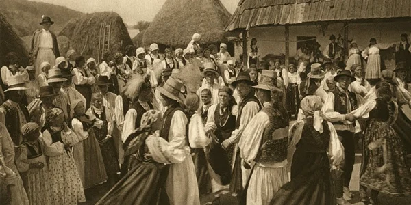 tarani