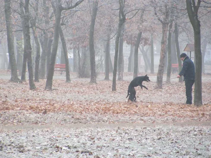 Atmosferă glacială la Timișoara