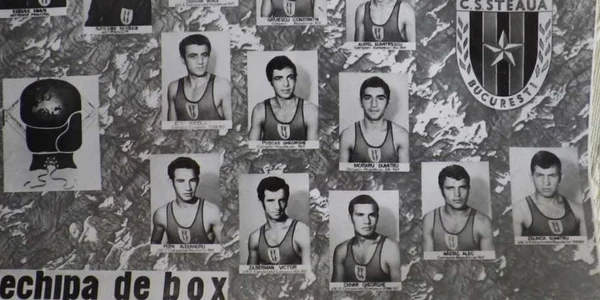 boxer