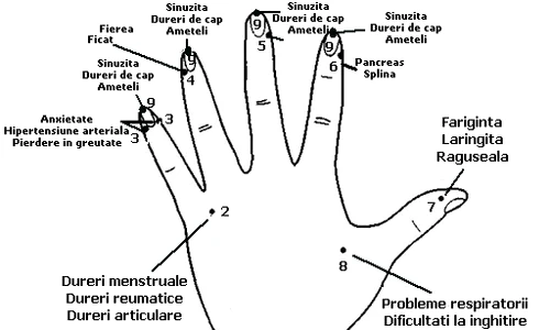 2 cum sa te masezi la mana ca sa scapi de raceala dureri de cap sau dureri menstruale h8mk jpg jpeg