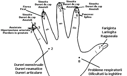 2 cum sa te masezi la mana ca sa scapi de raceala dureri de cap sau dureri menstruale h8mk jpg jpeg