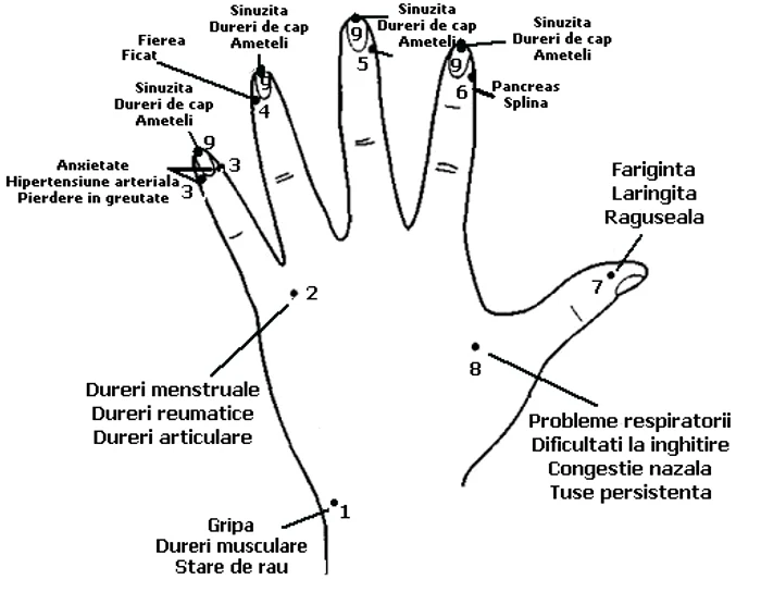 2 cum sa te masezi la mana ca sa scapi de raceala dureri de cap sau dureri menstruale h8mk jpg jpeg