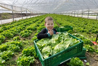 legume coopertiva gusturi de la tara sursa foto mihai chesnoiu (7) jpeg