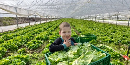 legume coopertiva gusturi de la tara   sursa foto mihai chesnoiu (7) jpeg