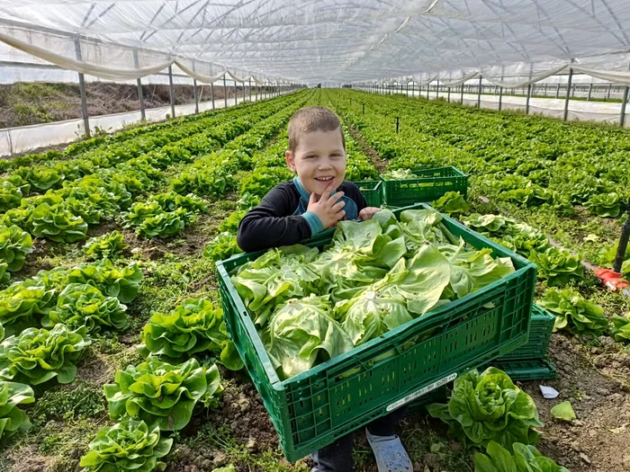 Producătorii și-ar dori să poată duce produsele direct consumatorului final FOTO: Mihai Chesnoiu
