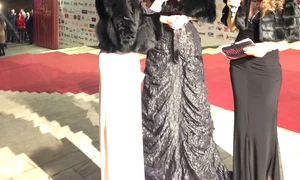 ramona badescu balul operei din cluj jpeg