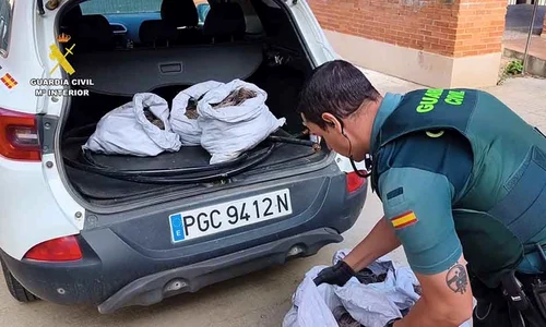 spania zamora3 0 jpeg