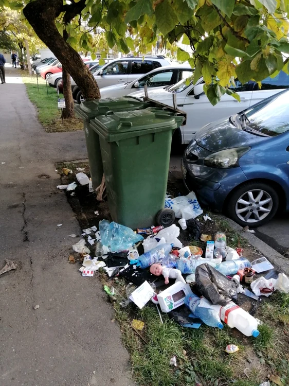 Primpria ameninţă că nu va mai ridica nimeni gunoiul FOTO: Ştefan Borcea