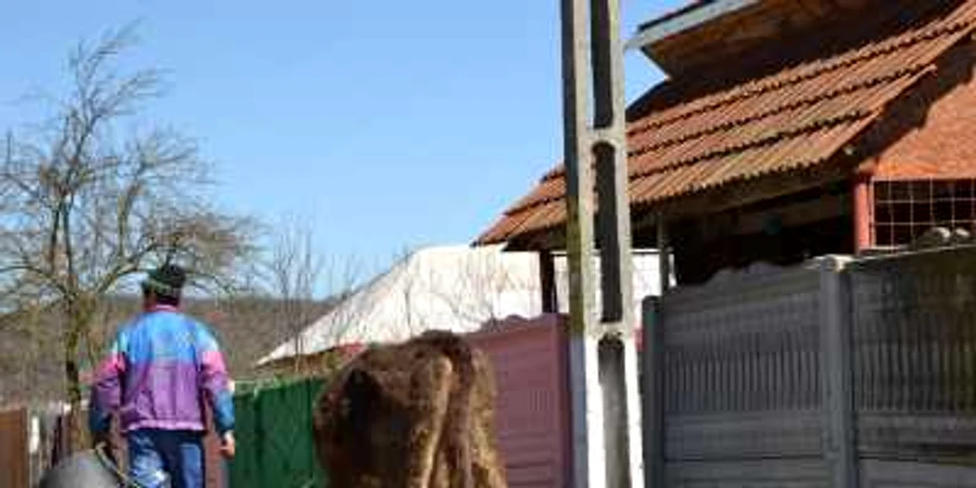 În Licurici, nivelul de trai este ca acu o sută de ani
