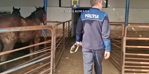 vlcsnap 2023 03 15 14h50m50s469 png