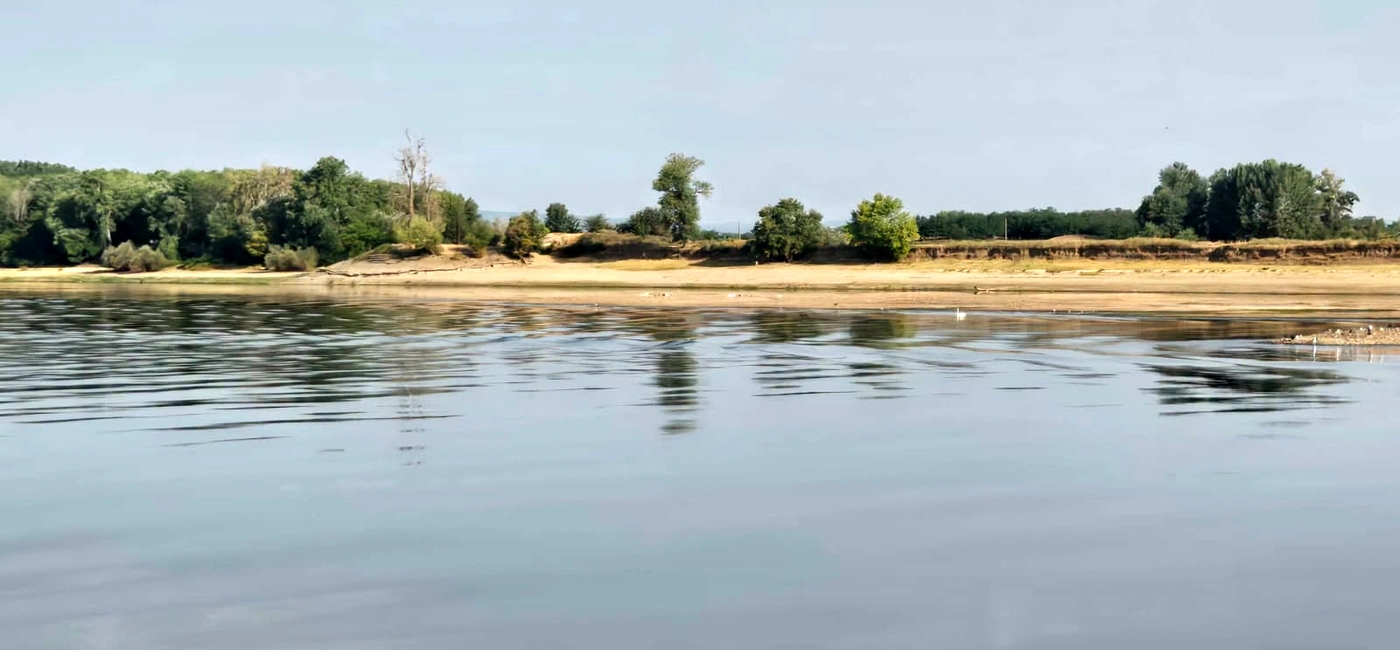 seceta dunare